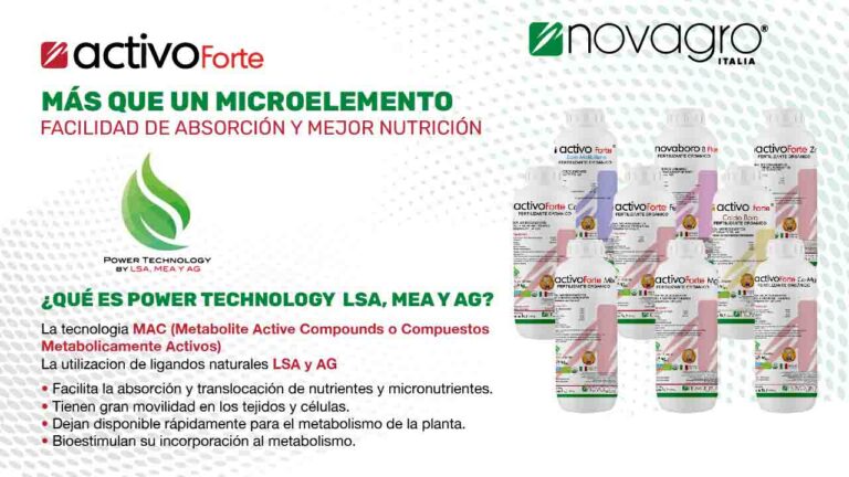 tec-activo