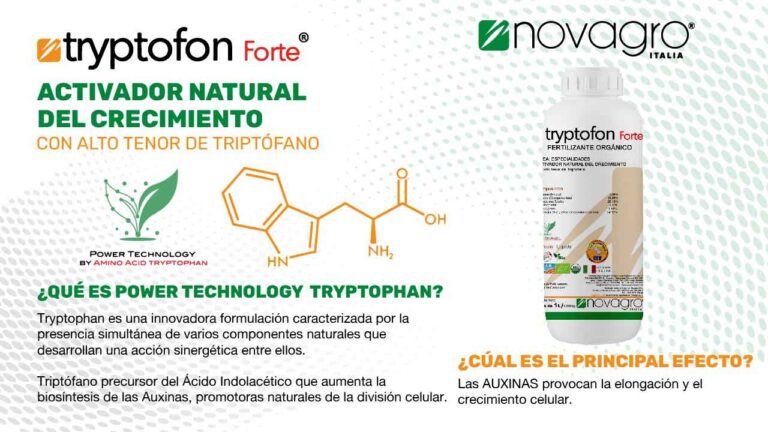 tec-tryptofon