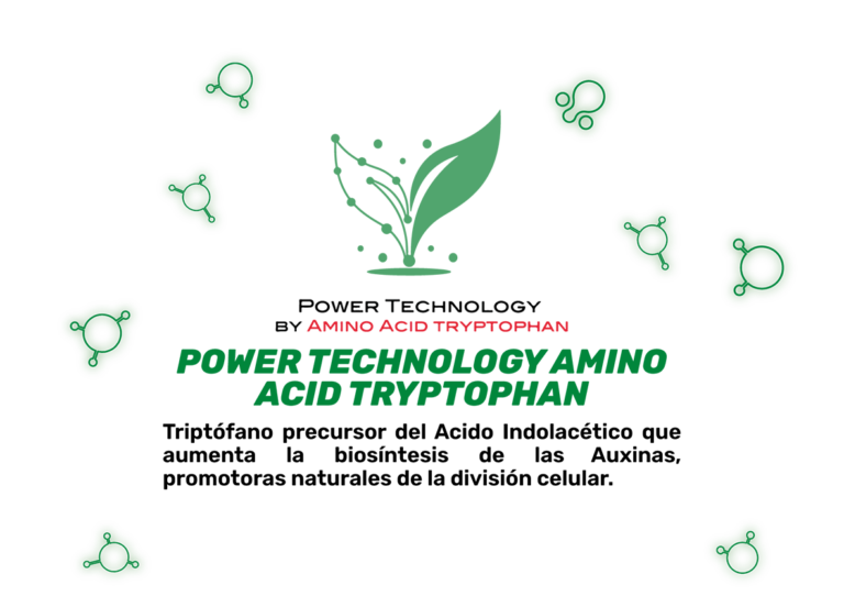 aminoacidos
