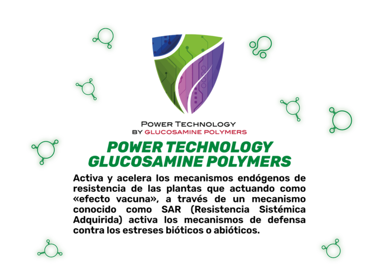 glucosamina