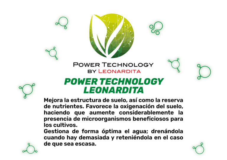 leonardita