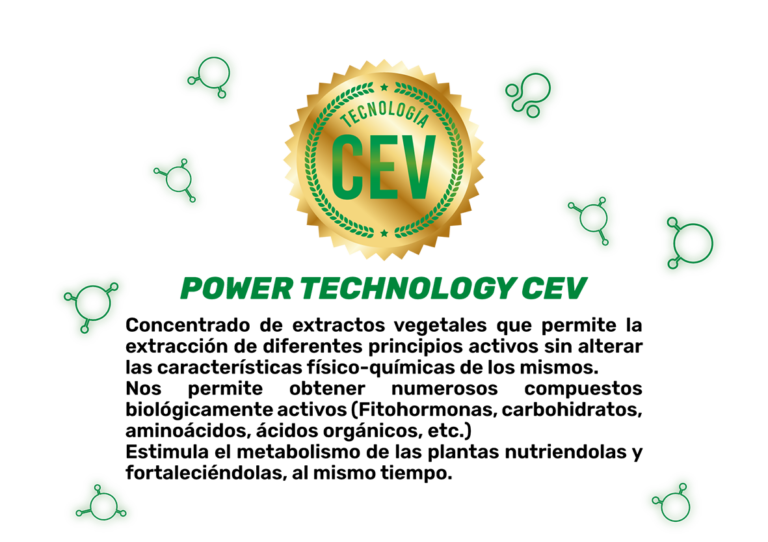 tec cev