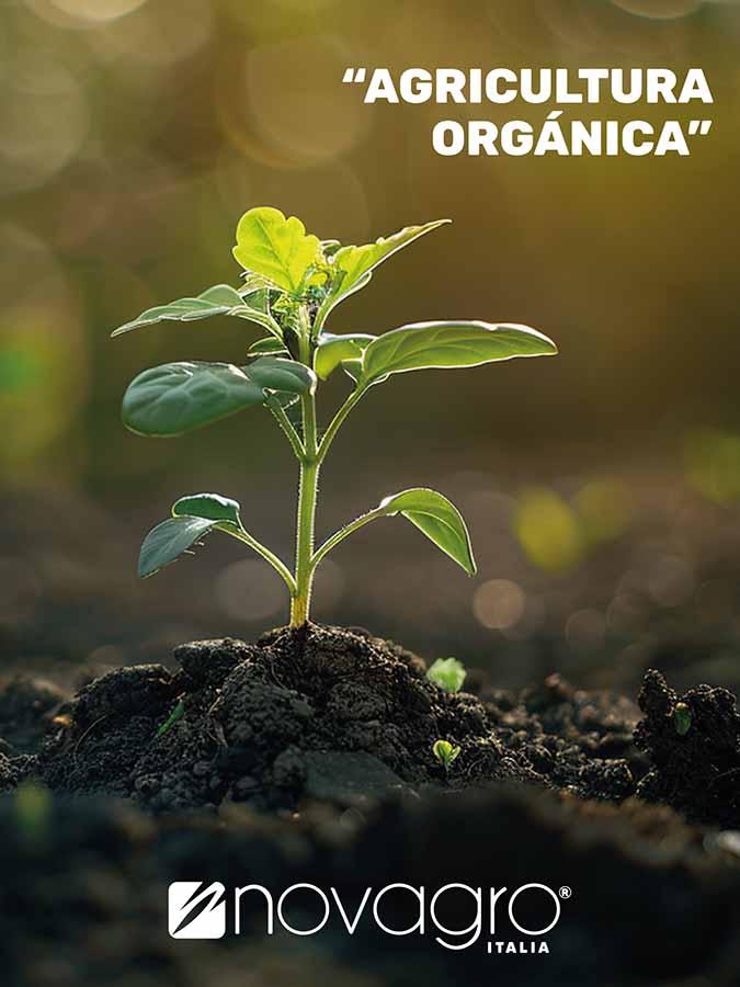Agricultura Orgánica