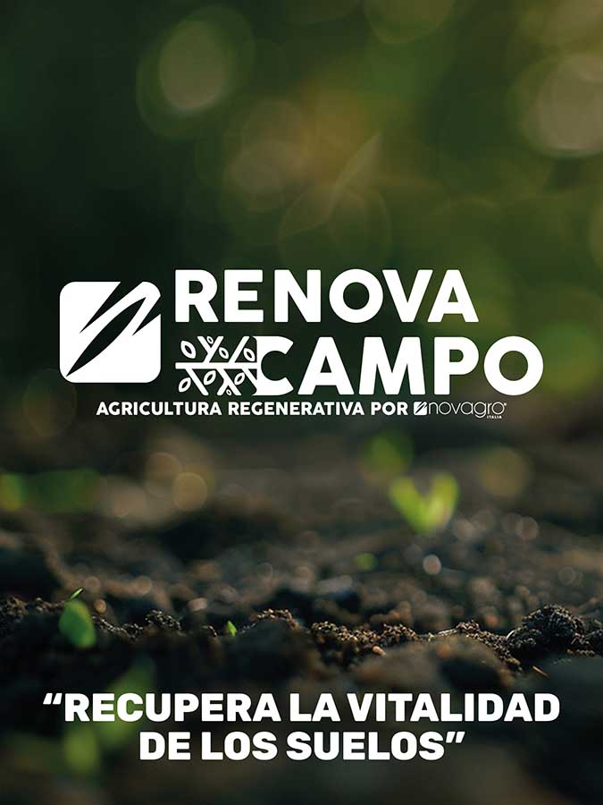 Renova Campo